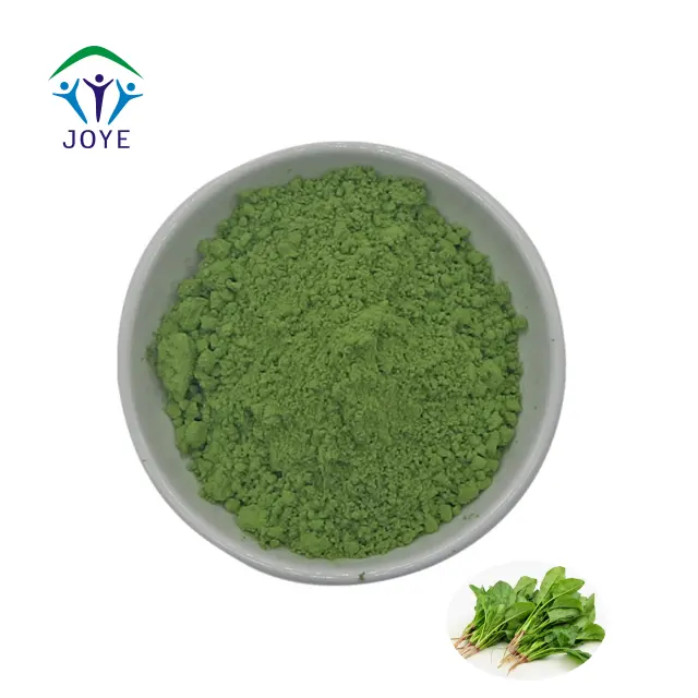 Spinaci vegetali freschi in polvere estratto di spinaci rossi estratto alimentare di erbe foglia selvatica verde polvere Fine 2 anni luogo fresco asciutto 1 Kg