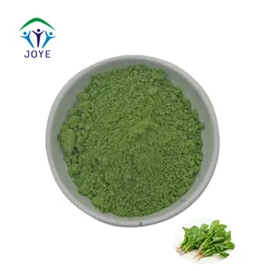 Fresh Vegetable Spinach Powder Red Spinach Extract Food Herbal Extract Wild Leaf Green Fine Powder 2 Years Cool Dry Place 1 Kg