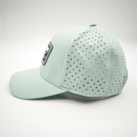 Casquette Snapback de Golf Personnalisée Sportive Motif Léopard Fruité en Polyester/Coton Dobby Argyle 6 Panneaux Imperméable Broderie Visière Plate Verte