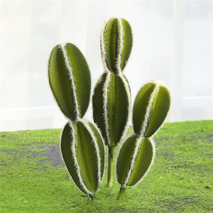 QSLHFH-1091 Nouveau Design Artificiel Plantes Décoratif <span class=keywords><strong>Cactus</strong></span> En Plastique Pour La Décoration De La Maison - Product Image 3