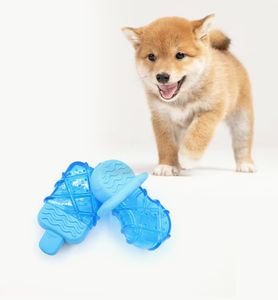 Jouets pour animaux de compagnie, jouets interactifs à mâcher pour chiens, pour le nettoyage des dents, glacé pour congélateur d'été, sucette en TPR luxueuse et durable, fournitures pour animaux de compagnie - Product Image 5