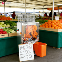 Presse-agrumes robuste 45 kg Utilisation commerciale Séparateur de peau automatique Haute efficacité 220V 50Hz pour le marché américain et européen
