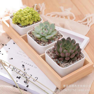 Wooden Three Compartment <b>Succulent</b> Planter Box Desktop Storage For Small Plants Balcony Flower <b>Pot</b> With Lid And Compartments - Product Image 1