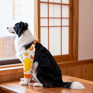 Protections épaisses anti-frottement pour coudes et genoux de chien, <span class=keywords><strong>protection</strong></span> des articulations des pattes avant pour Border Collie, <span class=keywords><strong>Golden</strong></span> <span class=keywords><strong>Retriever</strong></span>, chiens de taille moyenne à grande, tous les types de chiens - Product Image 3