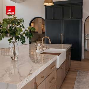 Alland מותאם אישית מוכתם & צבועים ארון שחור עם מטבח אגוז כהה מהמטבח אי מתכת רשת אי מתכת דלת לבנה - Product Image 3