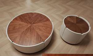 Mesa de centro Foshan Factory con diseño de pétalo, combinación moderna de madera maciza, lujo discreto para la sala de estar, placa redonda de piedra. - Product Image 3