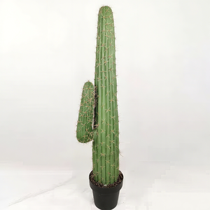 Cây xương rồng nhân tạo chậu cây thực tế mọng nước cho bảo trì thấp Mini sa mạc phong cách trang trí cảnh quan Làm Vườn Nhà cung cấp - Product Image 1