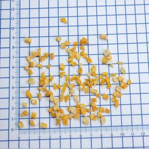 FYFD004F Dés de mangue surgelés de haute qualité 5*5*5mm - Product Image 4