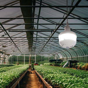 Oem/ODM nhà máy 3MP thông minh <span class=keywords><strong>Wifi</strong></span> E27 Bóng đèn giám sát Màu sắc tầm nhìn ban đêm máy ảnh 360 độ theo dõi con người hai chiều thẻ nhớ - Product Image 1