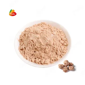 Natural Tasty Flavor Dried Sour Plum Powder Dried Sour Plum Extract Powder Instant Sour Plum Powder