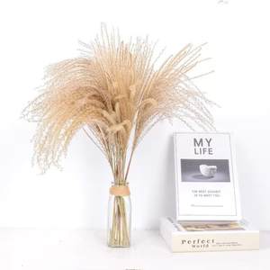 Usine Boho Décor De Mariage Grand Plume Sec <span class=keywords><strong>Pampas</strong></span> Herbe Fleur Naturel Réel Préservé Séché <span class=keywords><strong>Pampas</strong></span> Herbe Décor pour Noël - Product Image 5