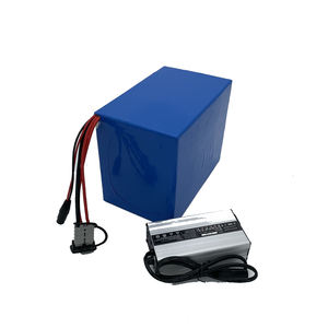 Risun Power Low Speed Fahrzeug Elektro Dreirad Motorrad Lithium batterie LiFePO4 48V 40AH 80AH LiFePO4 Lithium-Ionen-Batterien - Product Image 1