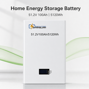 51.2V 100Ah 5.12kWh Wall <b>Mounted</b> LiFePO4 <b>Battery</b> Pack 6000 Cycles Smart BMS Cloud EU Stock Off-grid Home Solar Storage System - Product Image 2