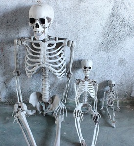 Decorazione per feste <span class=keywords><strong>Horror</strong></span> <span class=keywords><strong>di</strong></span> <span class=keywords><strong>Halloween</strong></span> un completo Humon Skeleton <span class=keywords><strong>Film</strong></span> Party casa stregata paesaggio decorativo Prop - Product Image 2