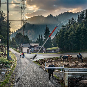 Módulo de Sensor de Monitoreo Multigas Veterinario Reutilizable de Acero Inoxidable, Sistemas de Monitoreo de Pacientes Caninos y Felinos - Product Image 3