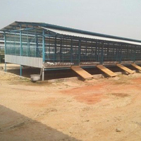 Casa Prefabricada Personalizada para Aves de Corral, Diseño Antisísmico, Establos para Vacas, Cobertizo para Ganado, Estructura Metálica, Casa de Campo, Cobertizo Prefabricado de Acero para Cabras
