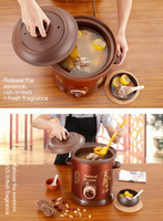 Cuisinière à riz électrique multifonctionnelle automatique portable pour usage domestique, avec cuve intérieure en plastique et revêtement en argile violette, économe en énergie, pour soupes rapides