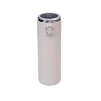 Botella de agua aislada al vacío de doble pared de 500ml, pantalla de temperatura Led inteligente, termo de acero inoxidable
