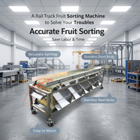 Volledig automatische multifunctionele sorteermachine voor het sorteren van litchi fruit en groenten op maat, voor commercieel gebruik