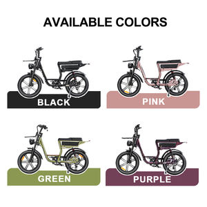 Vélo électrique de montagne pas cher d'usine C28 250W 48V 15.6AH 20 pouces Fatbike V20 Frein à disque double Porte-bagages avant E Dirt Bikes - Product Image 5