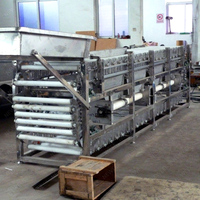 Neweek Papaya Grading Ui Verwerking Lijn Kleine Fruit Aardappel Tomaat Size Sorteren Machine