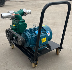 Pompa Autoadescante in Acciaio Inox ad Alta Prevalenza per Fosse Settiche, Acque Reflue, Laghetti per Pesci, Fanghi e Letame Suino - Product Image 6