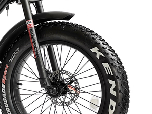 2025 populaire peut supporter un poids lourd nouveau modèle ensemble électrique <span class=keywords><strong>Bikr</strong></span> gros pneu 350w 500w 750w 1000w vélo électrique - Product Image 5