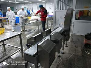 멀티 선별 체크 바이거 기계 스테인레스 스틸 프레임 디지털 LED 0.3g 정확도 맞춤형 OEM 무게 선별 기계 - Product Image 6