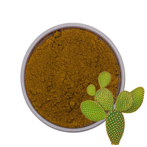 工場供給 フーディア・ゴードニィ サボテンエキス 純粋オーガニックサボテンパウダー サボテンエキス - Product Image 1
