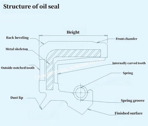 Fkm nbr nitrile גומי שמן במהירות גבוהה עבור מנוע שידור tc <span class=keywords><strong>tg</strong></span> 25*47 - Product Image 5