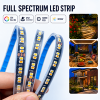 Bande LED étanche IP67 à spectre complet 24V, CRI95 élevé, SMD2835, 192 LED/m, blanc réglable, ruban lumineux flexible