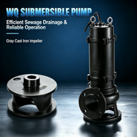Pompe submersible pour eaux usées 40WQ7-5-0.37, 0.37kW-550kW, avec agitateur, robuste, pour eaux usées industrielles, service OEM