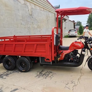 Tricycle motorisé de fret à 9 roues, moteur 350CC refroidi par eau, grande puissance, type Tuk-Tuk, vente en gros - Product Image 3