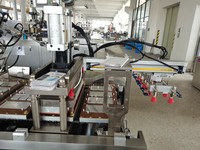 2021 nouvelle Machine d'emballage de carte de papier blister à haute fréquence automatique pour batterie de bouton de pièce SR/CR Production rapide plastique alimentaire