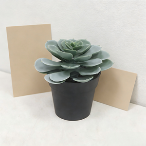 Plantas Suculentas Artificiales <span class=keywords><strong>Echeveria</strong></span> en Maceta, <span class=keywords><strong>Suculenta</strong></span> Artificial de Loto en Maceta de Plástico Negra, <span class=keywords><strong>Suculenta</strong></span> Artificial para Decoración de Escritorio - Product Image 2