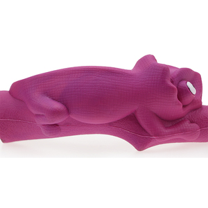 环保变色龙狗咀嚼玩具定制贴牌橡胶狗玩具带牙宠物产品 - Product Image 4