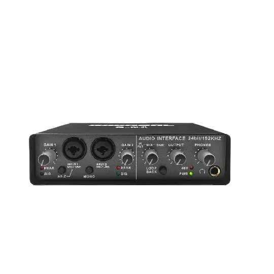 USB Audio Interface 24Bit 192KHz Mini 2 Channel USB Sound Card for Live Music Recording Studio