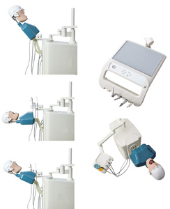 <strong>Dental</strong> Equipment <strong>Dental</strong> Clinical Teaching <strong>Simulation</strong> Training System Phantom Head - Product Image 2