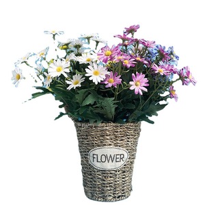 Bouquet de marguerites artificielles en soie, blanc, jaune, bleu, rose, décoration intérieure et extérieure, décoration de balcon - Product Image 5