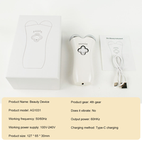 Masseur facial électrique OEM, produit de beauté, appareil de beauté portable rechargeable, outils de soin de la peau pour le visage et le cou