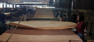 Keruing <b>Veneer</b> High-Quality Wood <b>Sheet</b> for Durable Furniture and Aesthetic Interior Applications - Product Image 3