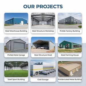 Hangar en structure acier personnalisable de 1000 m² pour bâtiments de stockage industriels et garages, utilisation pour l'entretien des avions - Product Image 2