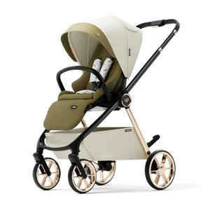 Weilebao - Carrito de Paseo Reversible de Aleación de Aluminio de Alta Gama, Plegable, con Certificación EN1888, Cochecito de Viaje de Lujo 3 en 1 - Product Image 1