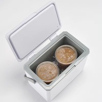 Glacière isotherme de camping 3L 5L de haute qualité à bas prix en PP pour pique-niques en extérieur et canettes