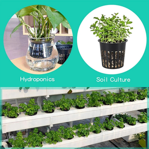 Pots en filet plastique pour plantes, légumes et fruits, système de paniers hydroponiques sans terre, dispositif de racinement en filet, conteneur à fentes pour la colonisation - Product Image 6
