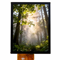 Module LCD carré LST 5 pouces 800x480 avec interface MIPI, écran tactile capacitif IPS 5 points pour instruments de communication
