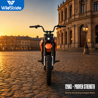 Vélo électrique à deux roues sur mesure, capacité de montée de 10 %, résistant aux éclaboussures IPX4, pour les trajets tout-terrain, certifié CE