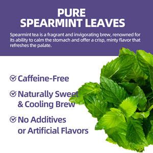 Оптовый премиальный органический чай для похудения и оздоровления со вкусом мяты в пакетиках-пирамидках для экспорта, с возможностью индивидуализации OEM/ODM и сроком годности 2 года - Product Image 3