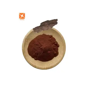 ISO Natural 95% Proanthocyanidins Pine Bark Extract French Maritime Pine Bark Extract French Pine Bark Extract