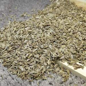 Großhandel Hochwertige natürliche getrocknete <span class=keywords><strong>Dill</strong></span> samen - Product Image 3